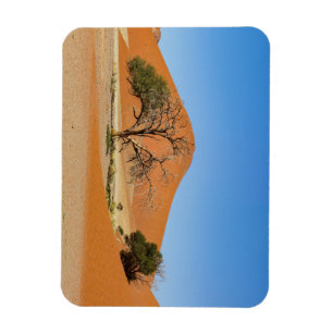Die Dünen des Sossusvlei in Namibia Magnet