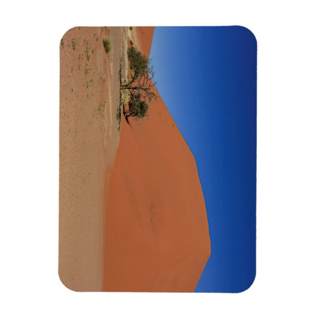 Die Dünen des Sossusvlei in Namibia Magnet (Vertical)