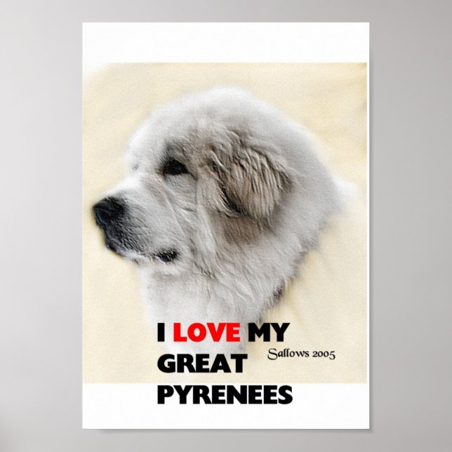 diego poster (Front)