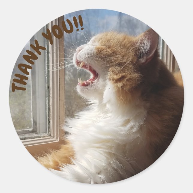 Diego the Cat Thank You Sticker (Front)