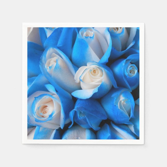 Diemudis Napkin (Front)