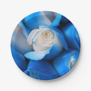 Diemudis Paper Plate