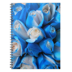 Diemudis Spiral Notebook