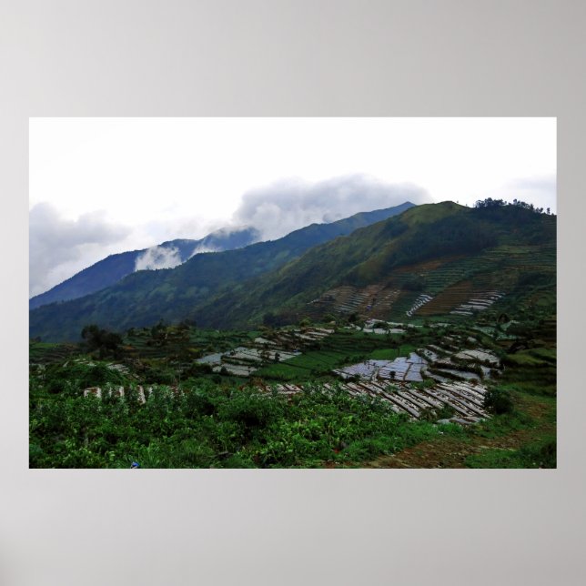 Dieng Farms Poster (Front)
