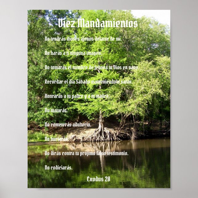 Diez Mandamientos - Ciprés en el Pantano Poster (Front)
