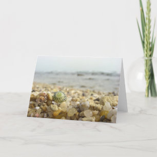 Difference - Shell and Pebbles at the beach Card