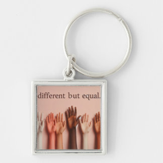 Different but Equal / Different but Equal Key Ring