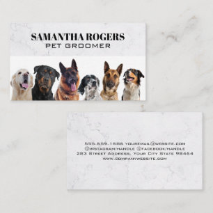 Different Dogs Sitting Appointment Card