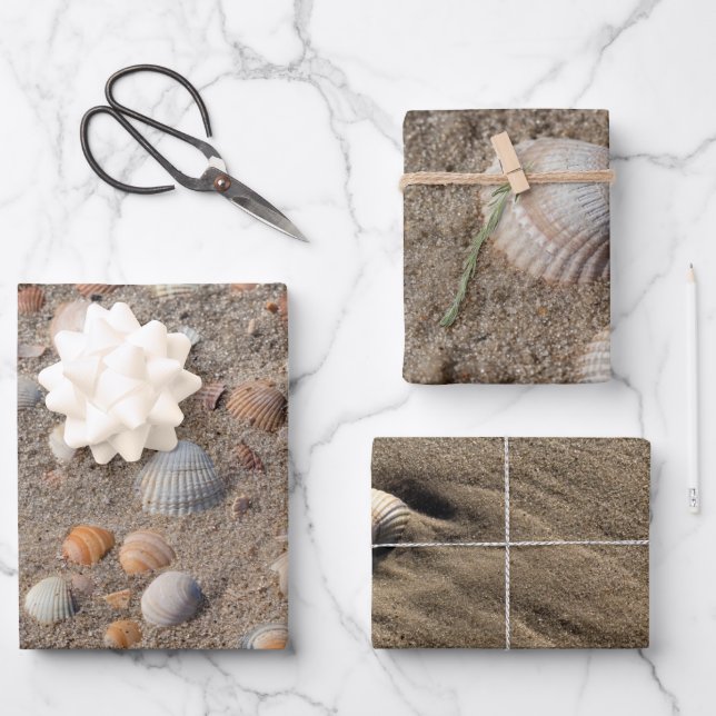 Different Sea shell photos Wrapping Paper Sheet (Front)