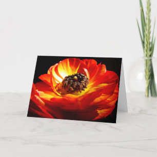Differenza -Birthday Card