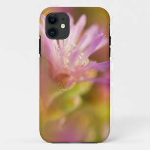 Diffused Image Of A Colourful Succulent Flower iPhone 11 Case