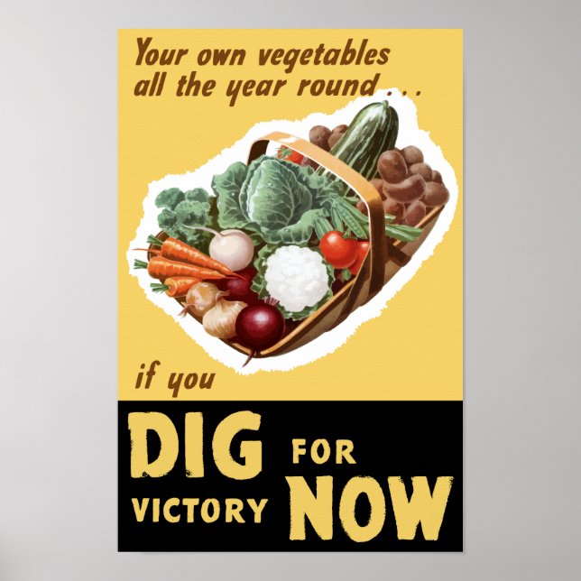 Dig For Victory Now -- WWII Poster (Front)