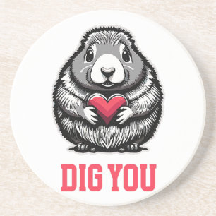 Dig You Coaster