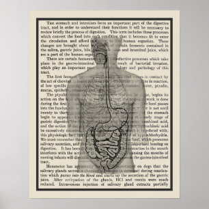Digestive System Anatomy Art Print #5