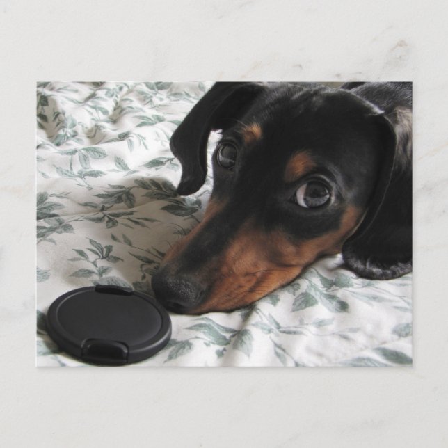 Digger Strike a Pose Postcard (Front)