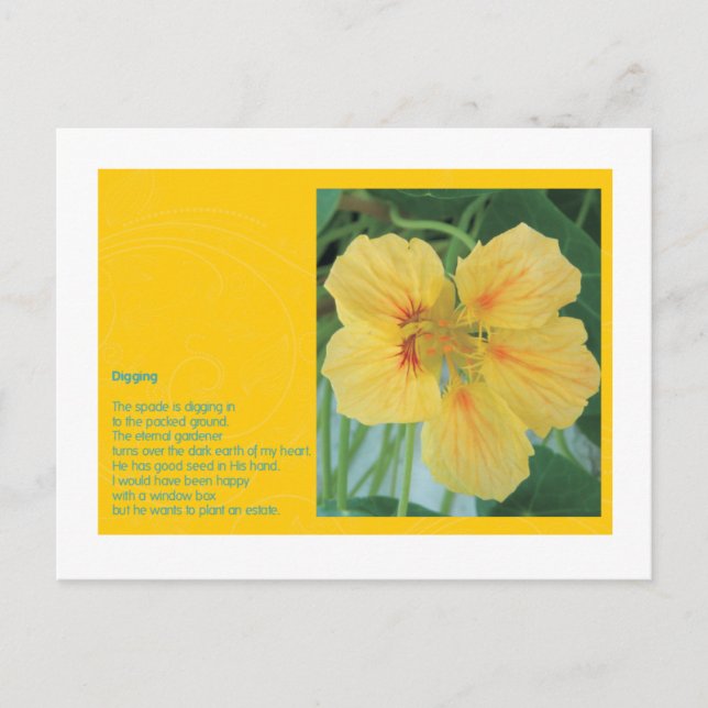 Digging Postcard (Front)