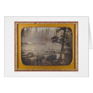 Diggings at Grizzly Flat, El Dorado Co. (40070)