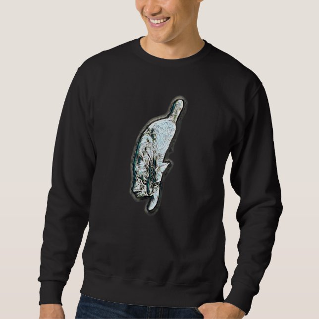 Digital Abstract Painting Of A Cat 63 Sweatshirt (Front)