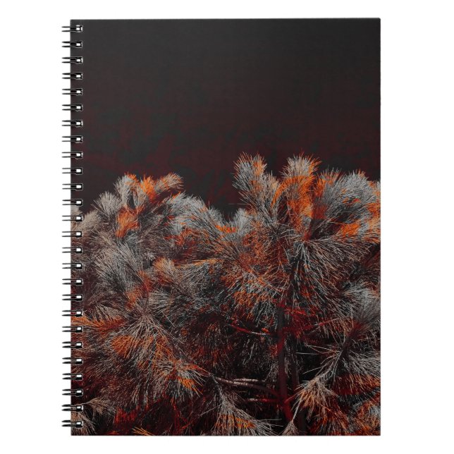 Digital art of pine tree with orange colour spots notebook (Front)
