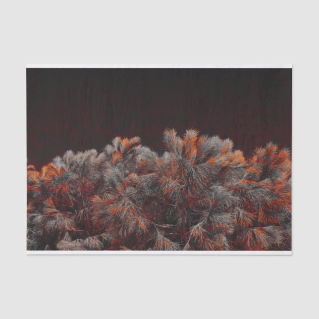 Digital art of pine tree with orange colour spots tissue paper (Front)