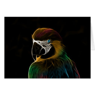 Digital colourful parrot fractal