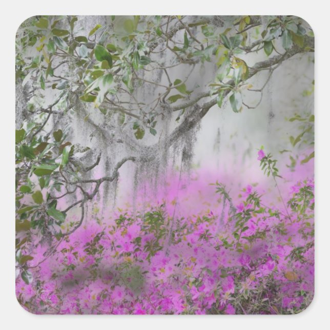 Digital Composite of Azaleas and magnolia tree Square Sticker (Front)