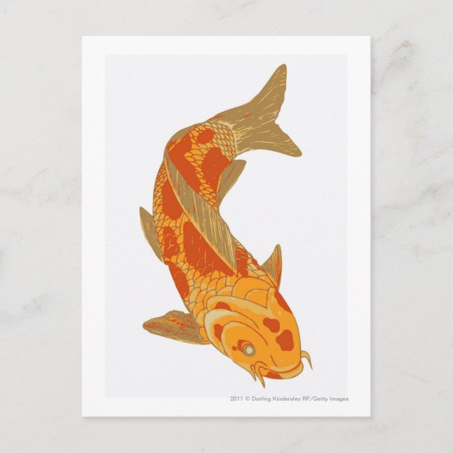 Digital illustration of Koi Carp Postcard (Front)
