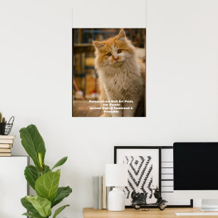 Digital Pet Portrait Custom Cat Portrait Download Poster