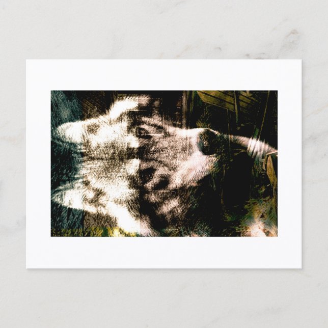Digital Remix Art : Wolf Postcard Print by JHT (Front)