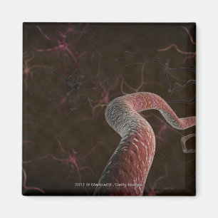 Digital rendering of neurons magnet