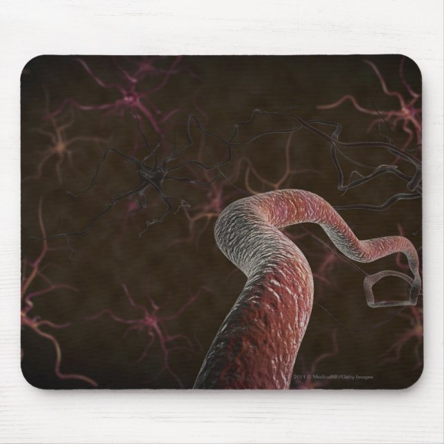 Digital rendering of neurons mouse pad (Front)