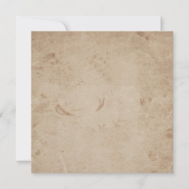 Digital Vintage Paper Backdrops   Holiday Card (Front)