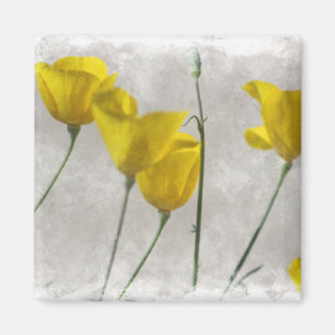 Digital Watercolor Yellow California Poppies Magne Magnet