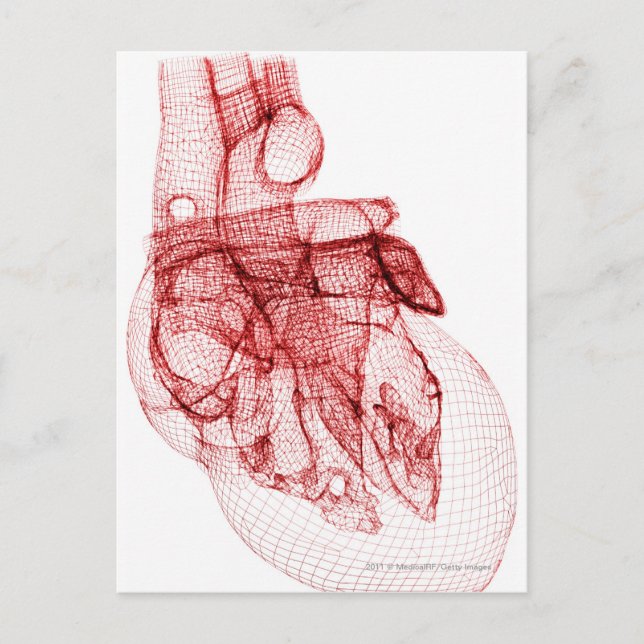 Digital wireframe of the human heart postcard (Front)