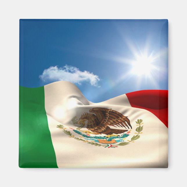 Digitally Generated Mexico Flag Rippling Magnet (Front)
