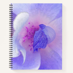 *~* Digitally Modified Rose from Pink to Blue Notebook
