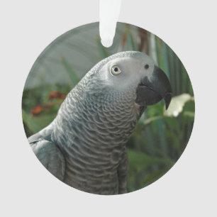 Dignified African Grey Parrot Ornament