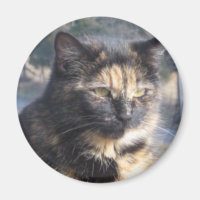 Dignified Cat Magnet (Front)