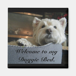 Dignified Westie Photo Magnet