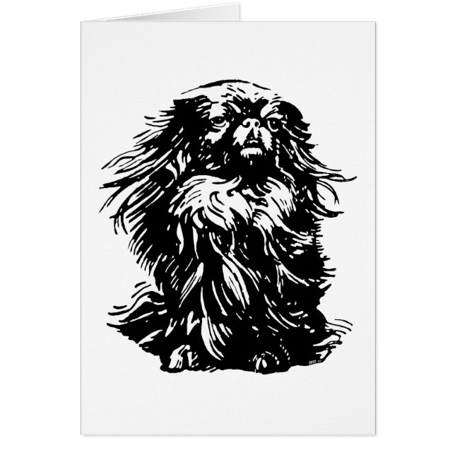 Dignity Pekingese (Front)