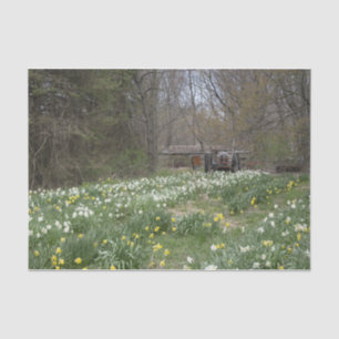 Dilapidated Farm Building Flower Meadow Tissue Paper