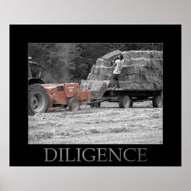 Diligence Poster (Front)