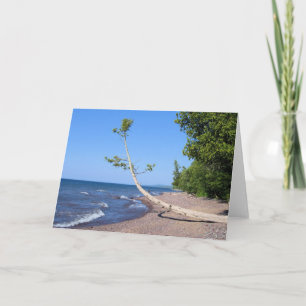 Diligently Seeking Card