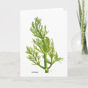 Dill Art Thank You Card
