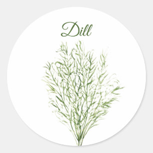 Dill Herb Greenery Kitchen Culinary Green Plant  Classic Round Sticker