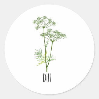 Dill Spices Herb Classic Round Sticker