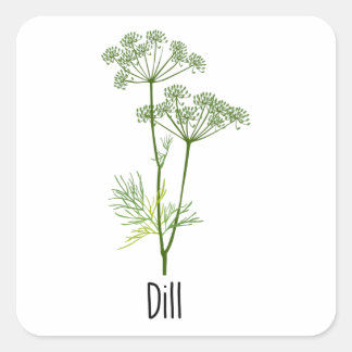 Dill Spices Herb Square Sticker
