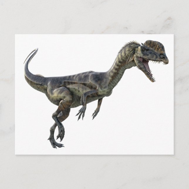 Dilophosaurus Dinosaur Postcard (Front)