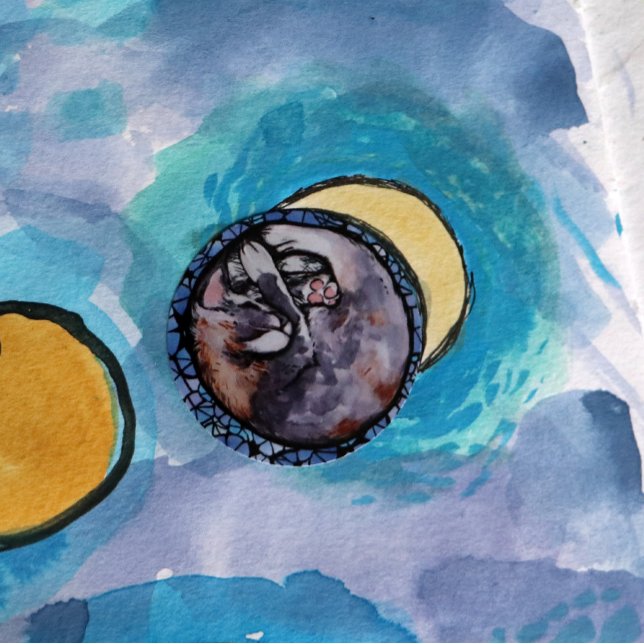 Dilute Calico Cat Cuddles Maine Coon Cats          Classic Round Sticker (Creator Uploaded)