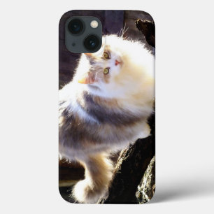 Dilute Calico Maine Coon Cat iPad Case